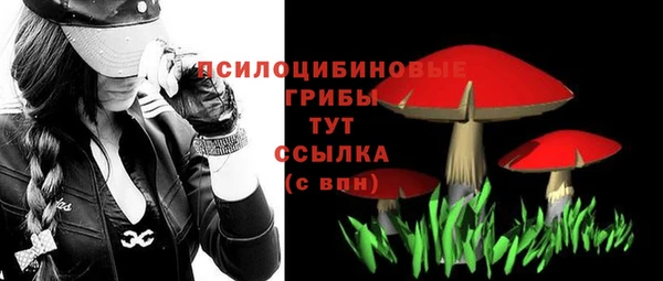 прущий лед Алексеевка